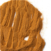 Rose Hip Powder